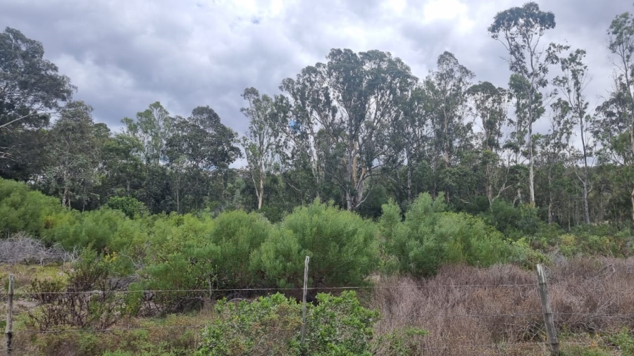 3 Bedroom Property for Sale in Albertinia Western Cape